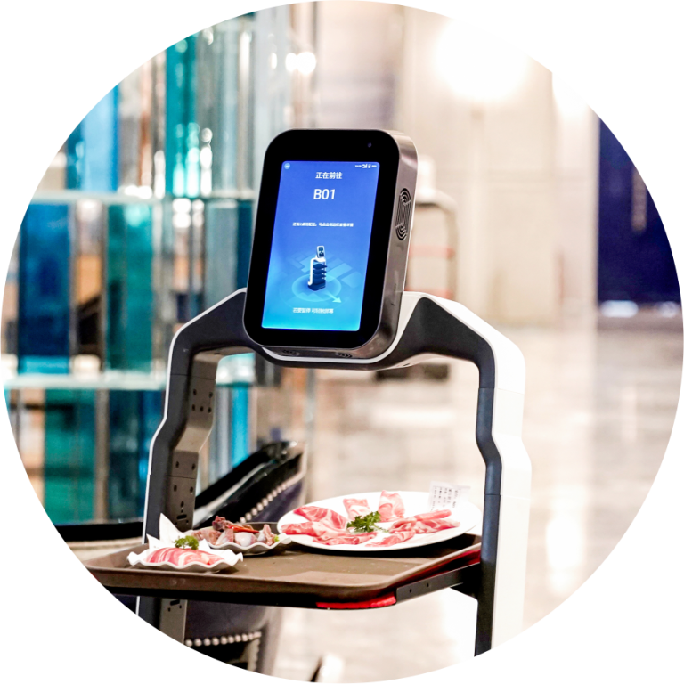 Transportroboter, Empfangsroboter, Reinigungsroboter, Pflegeroboter für Restaurant, Hotel und Catering